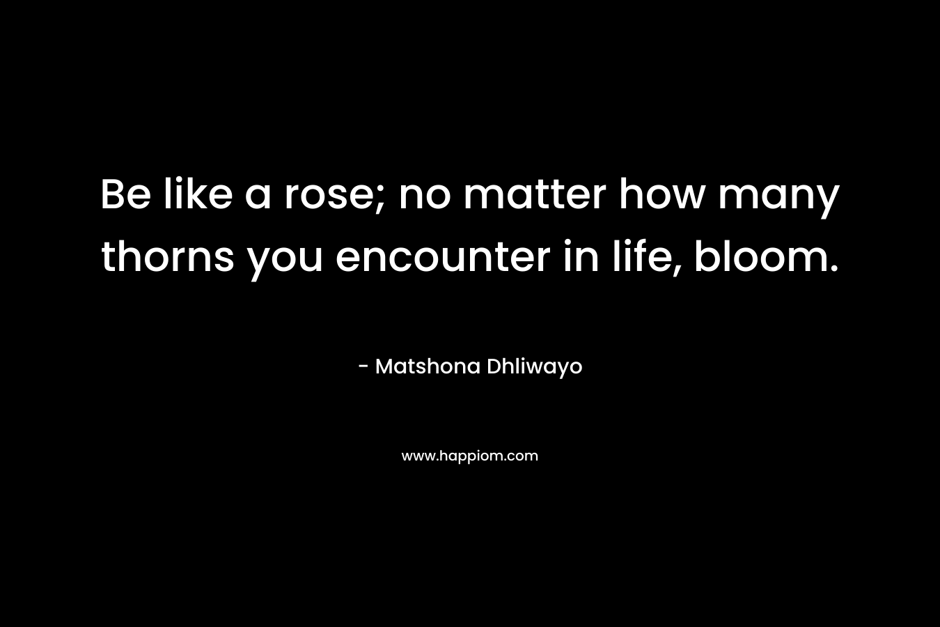 Be like a rose; no matter how many thorns you encounter in life, bloom. – Matshona Dhliwayo