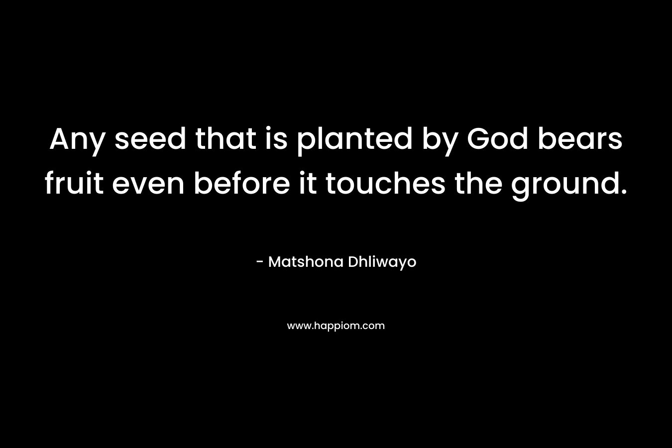 Any seed that is planted by God bears fruit even before it touches the ground. – Matshona Dhliwayo