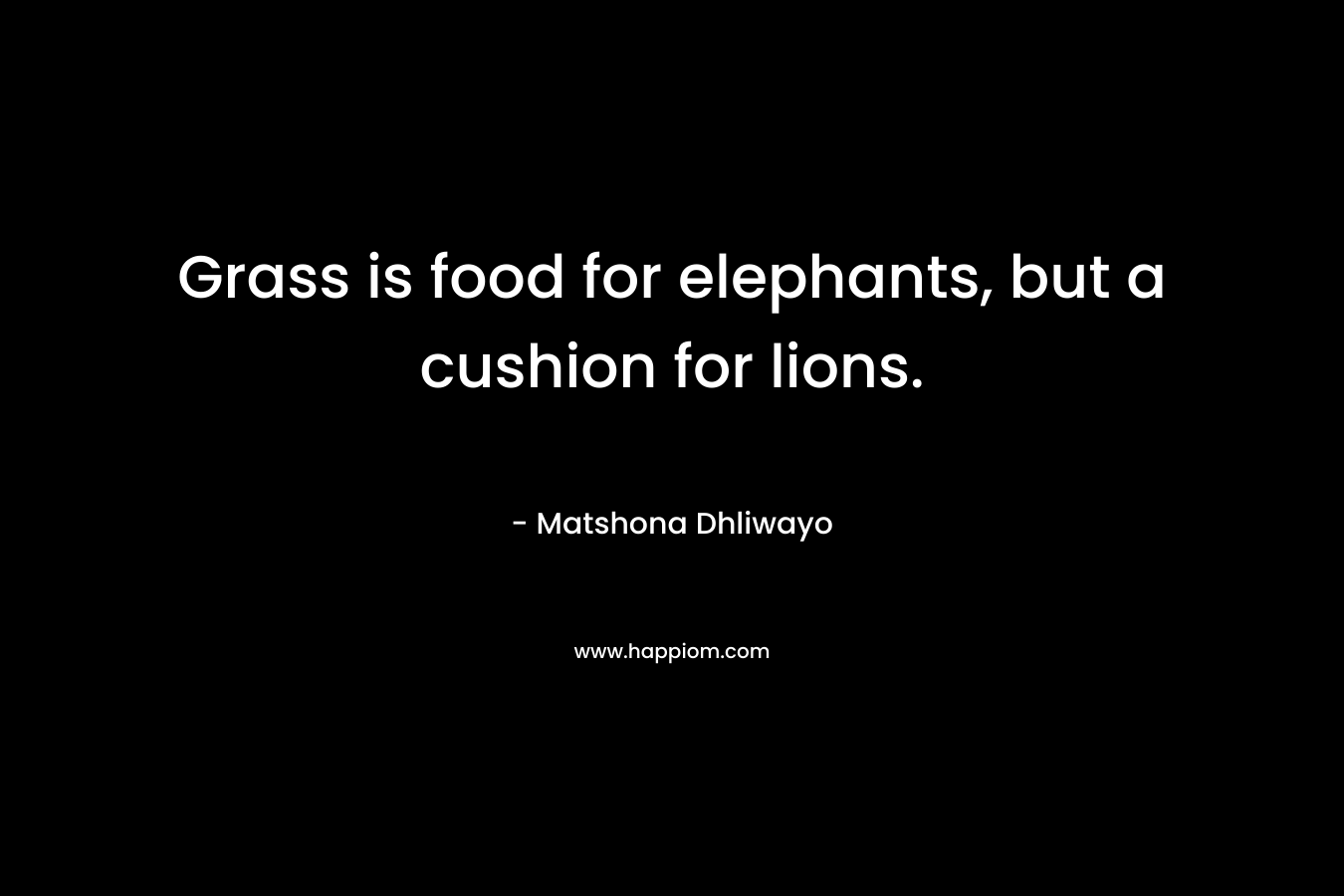 Grass is food for elephants, but a cushion for lions. – Matshona Dhliwayo