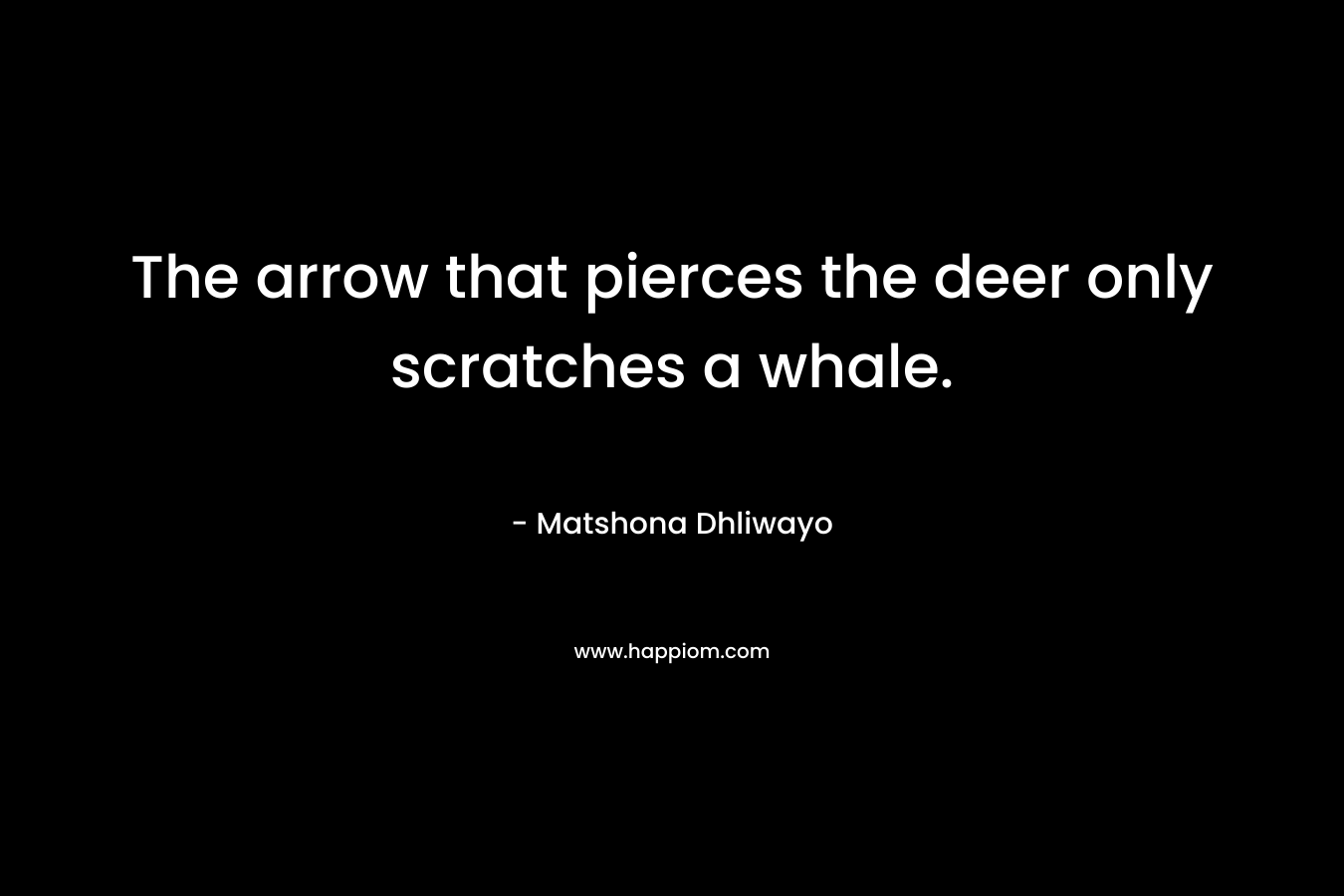 The arrow that pierces the deer only scratches a whale.