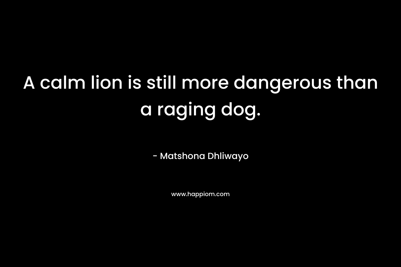 A calm lion is still more dangerous than a raging dog. – Matshona Dhliwayo