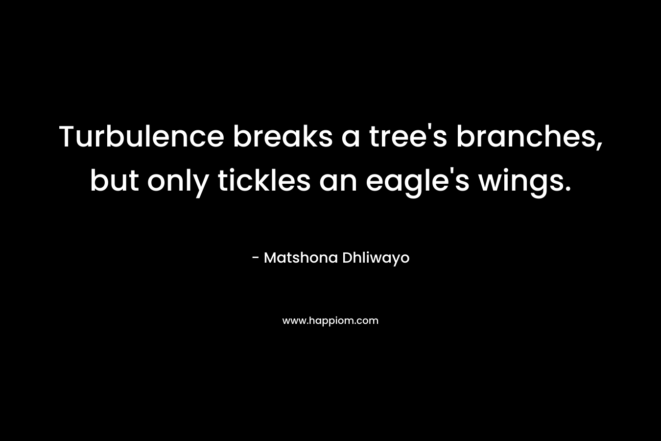 Turbulence breaks a tree’s branches, but only tickles an eagle’s wings. – Matshona Dhliwayo