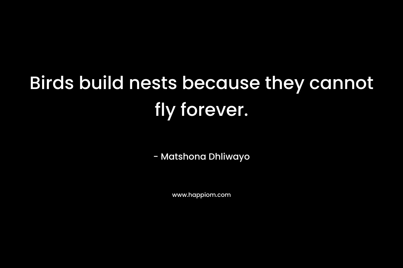Birds build nests because they cannot fly forever. – Matshona Dhliwayo