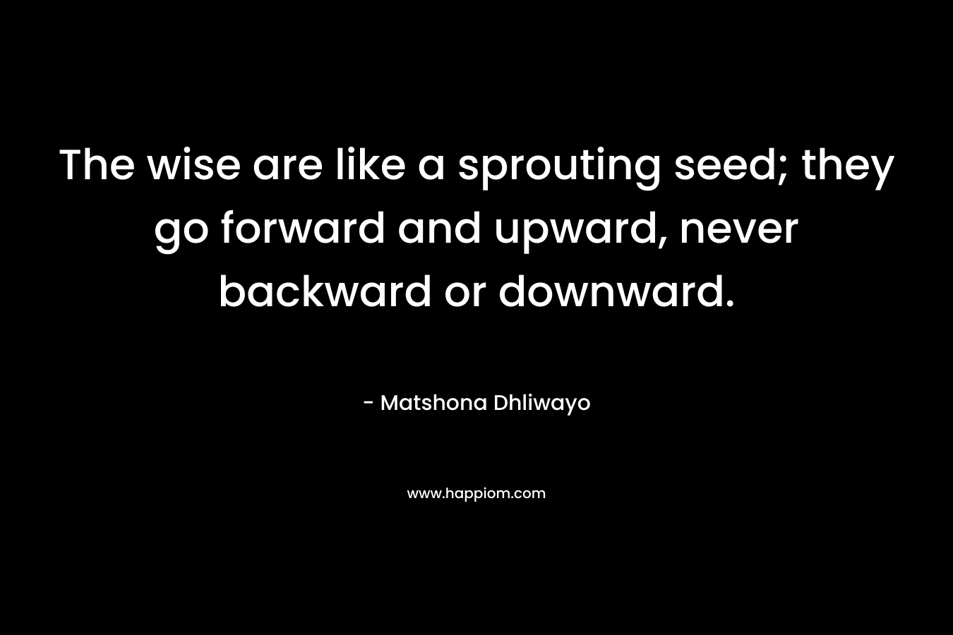 The wise are like a sprouting seed; they go forward and upward, never backward or downward. – Matshona Dhliwayo