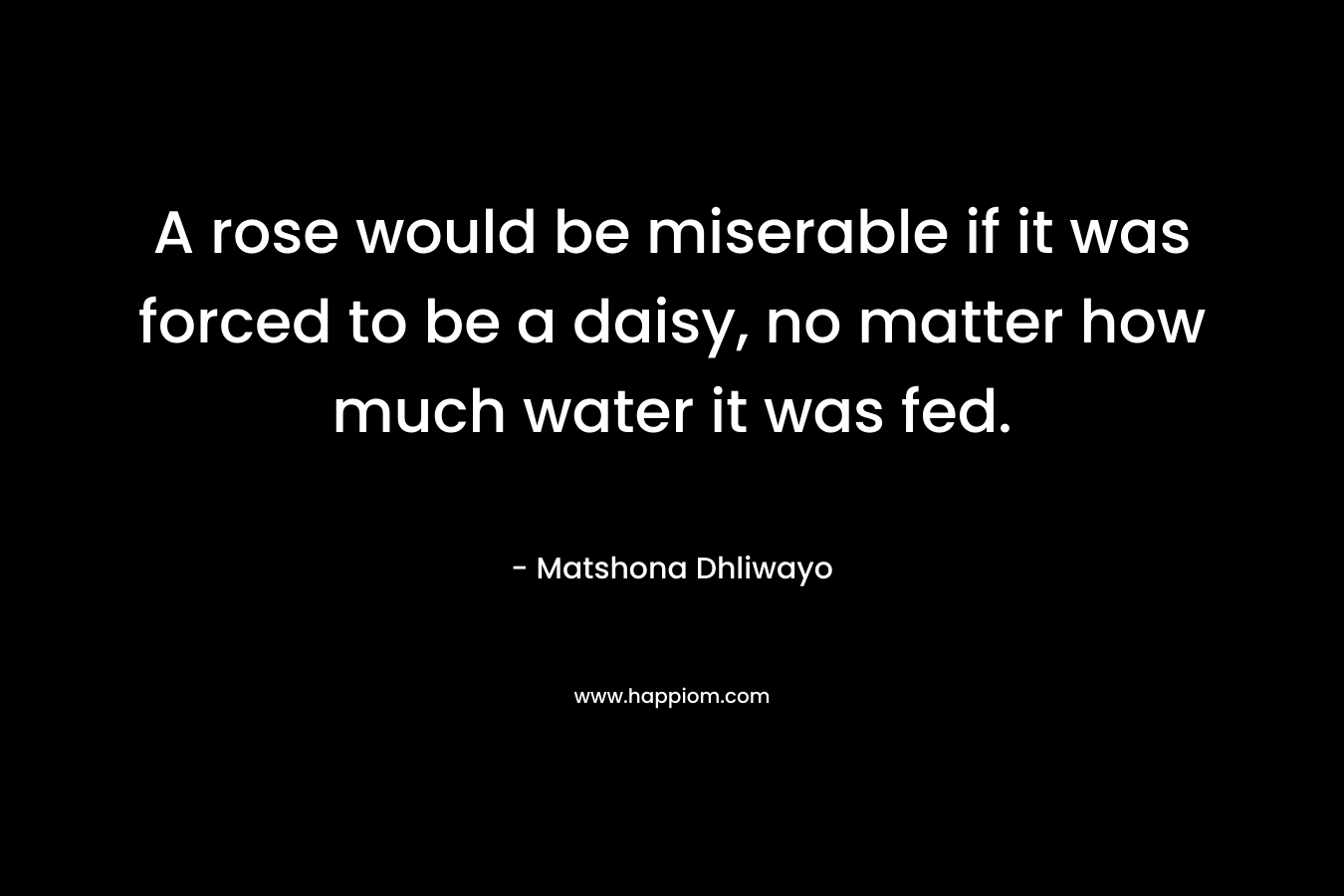 A rose would be miserable if it was forced to be a daisy, no matter how much water it was fed. – Matshona Dhliwayo