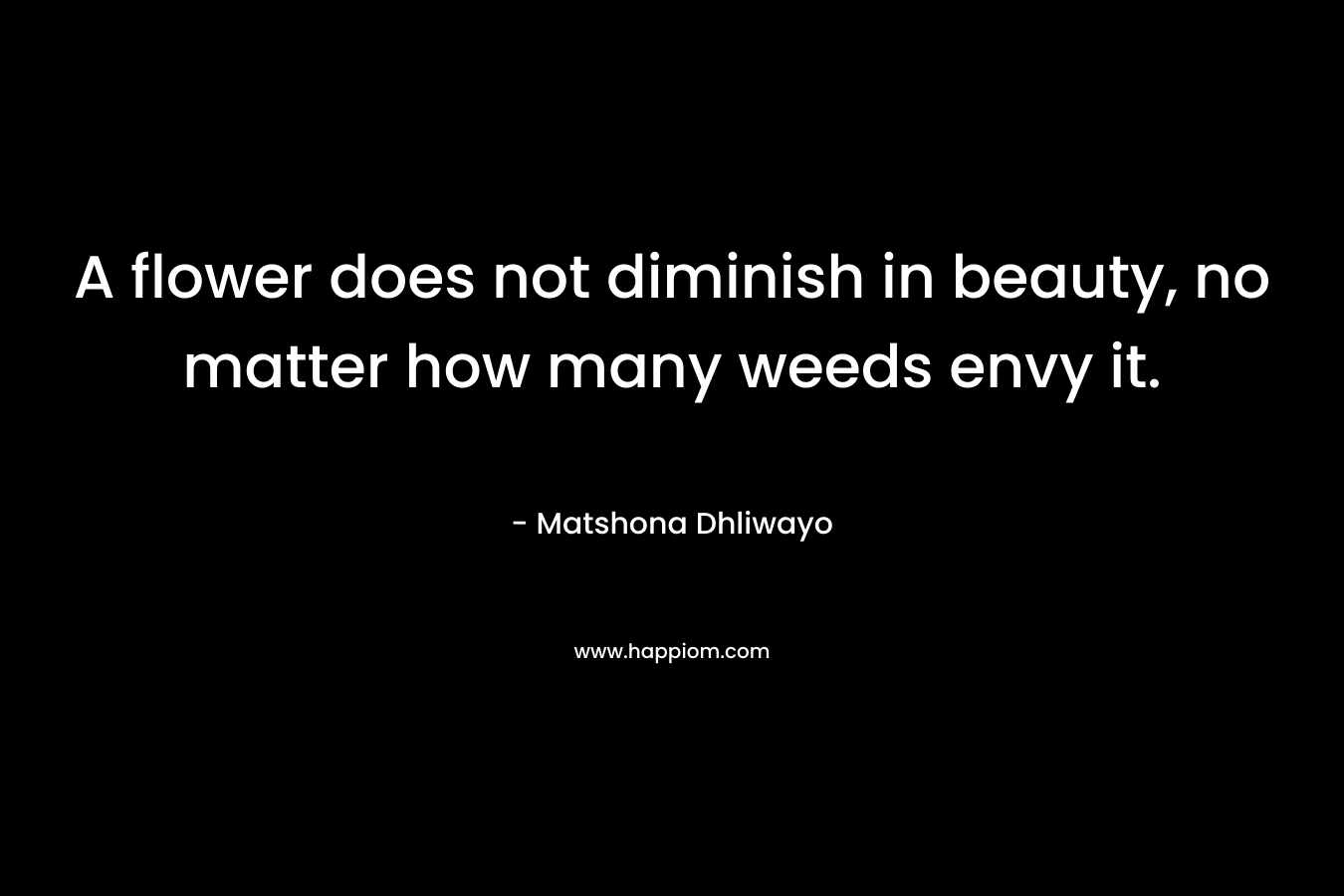 A flower does not diminish in beauty, no matter how many weeds envy it. – Matshona Dhliwayo