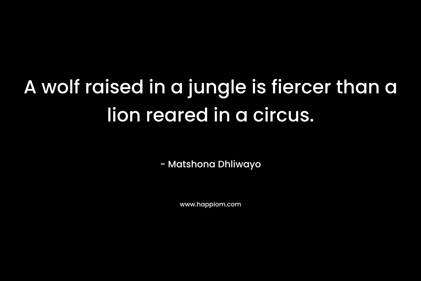 A wolf raised in a jungle is fiercer than a lion reared in a circus. – Matshona Dhliwayo