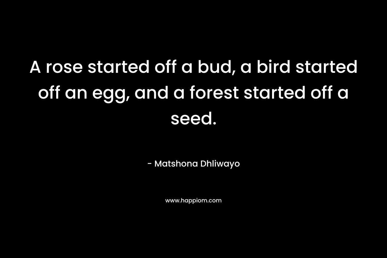 A rose started off a bud, a bird started off an egg, and a forest started off a seed.
