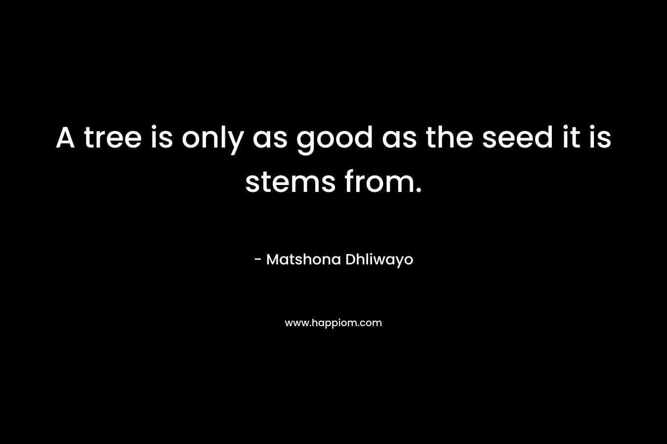 A tree is only as good as the seed it is stems from.