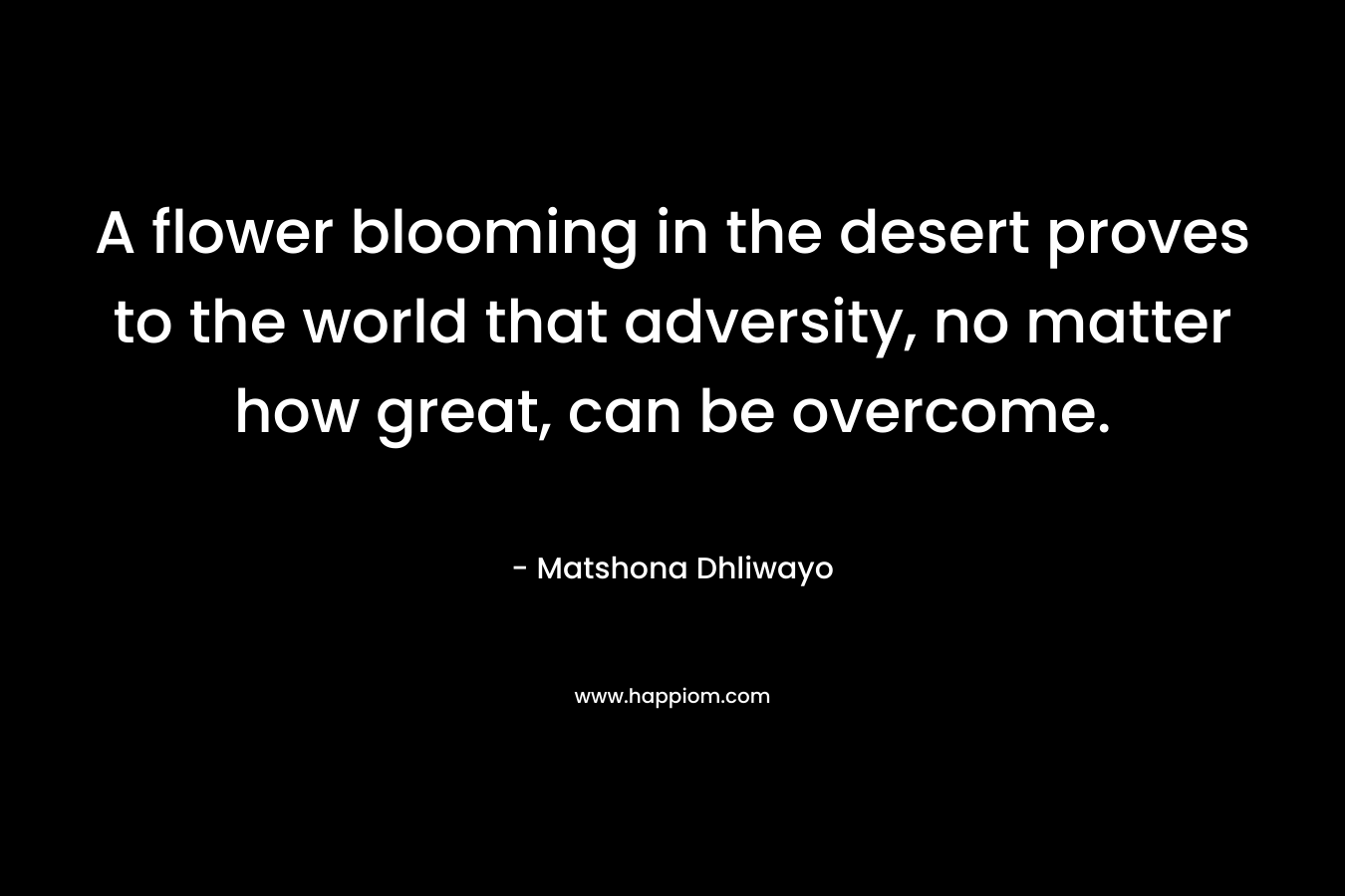 A flower blooming in the desert proves to the world that adversity, no matter how great, can be overcome.