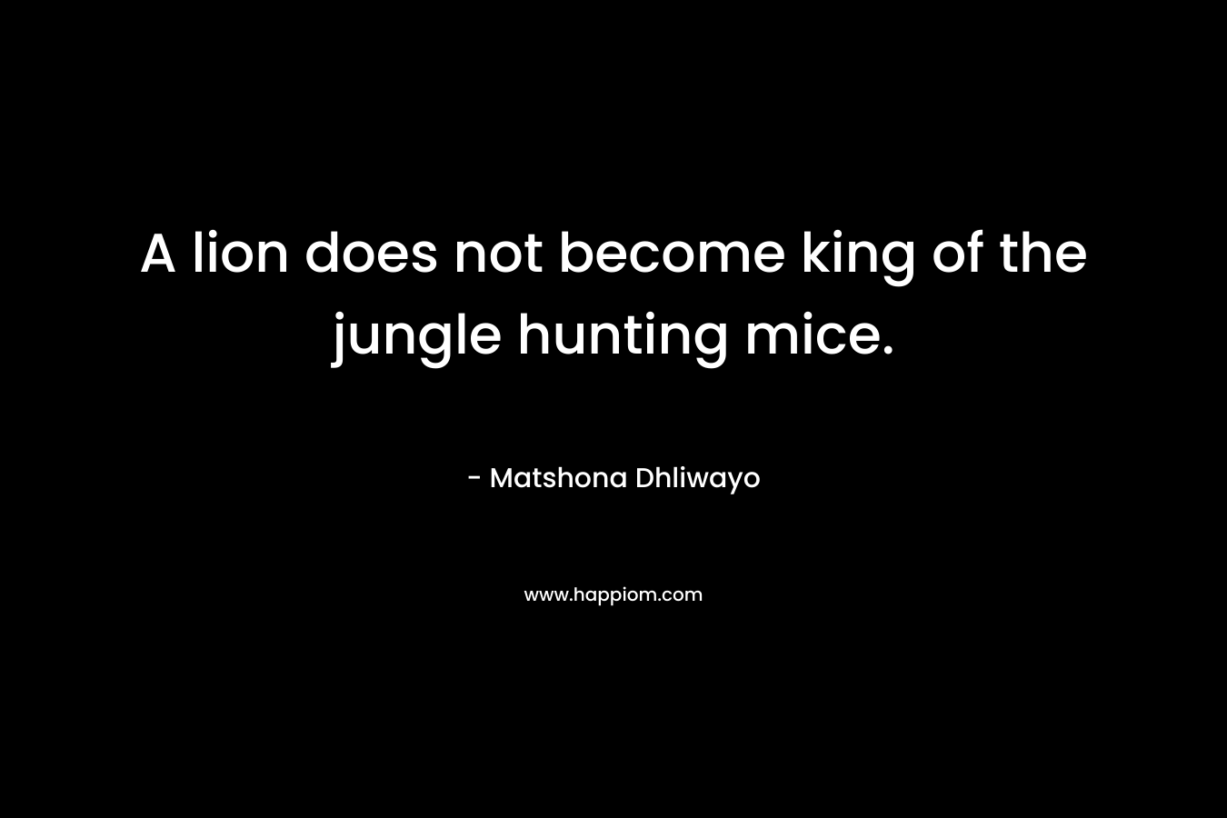 A lion does not become king of the jungle hunting mice. – Matshona Dhliwayo