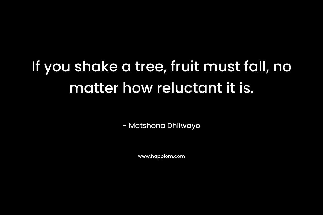 If you shake a tree, fruit must fall, no matter how reluctant it is. – Matshona Dhliwayo