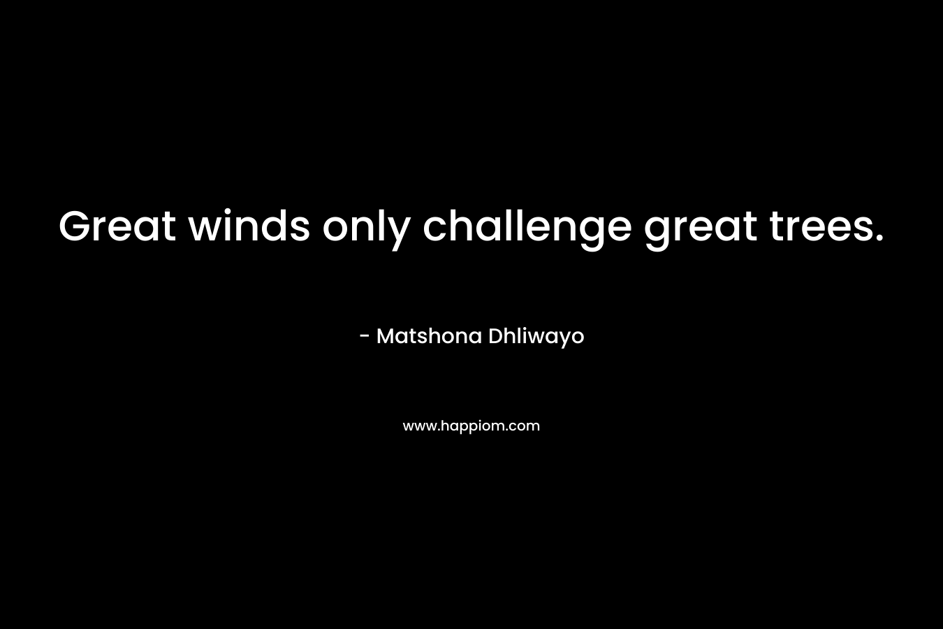Great winds only challenge great trees. – Matshona Dhliwayo