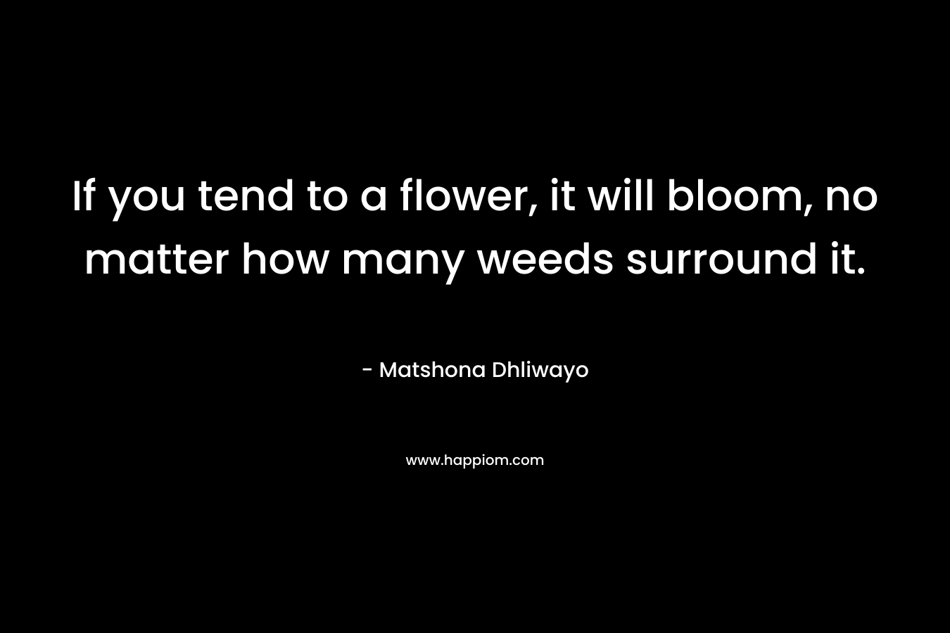 If you tend to a flower, it will bloom, no matter how many weeds surround it. – Matshona Dhliwayo