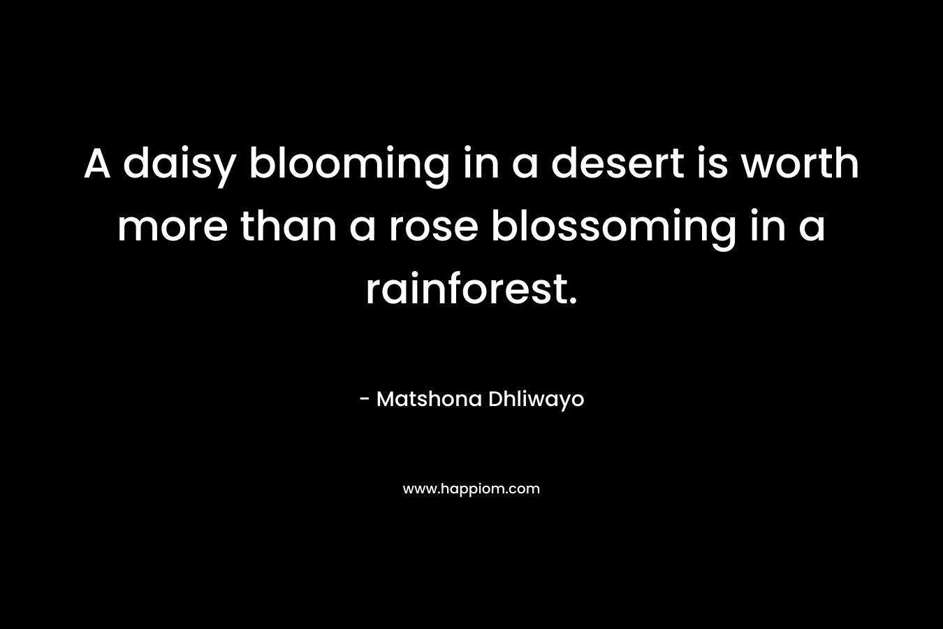 A daisy blooming in a desert is worth more than a rose blossoming in a rainforest. – Matshona Dhliwayo