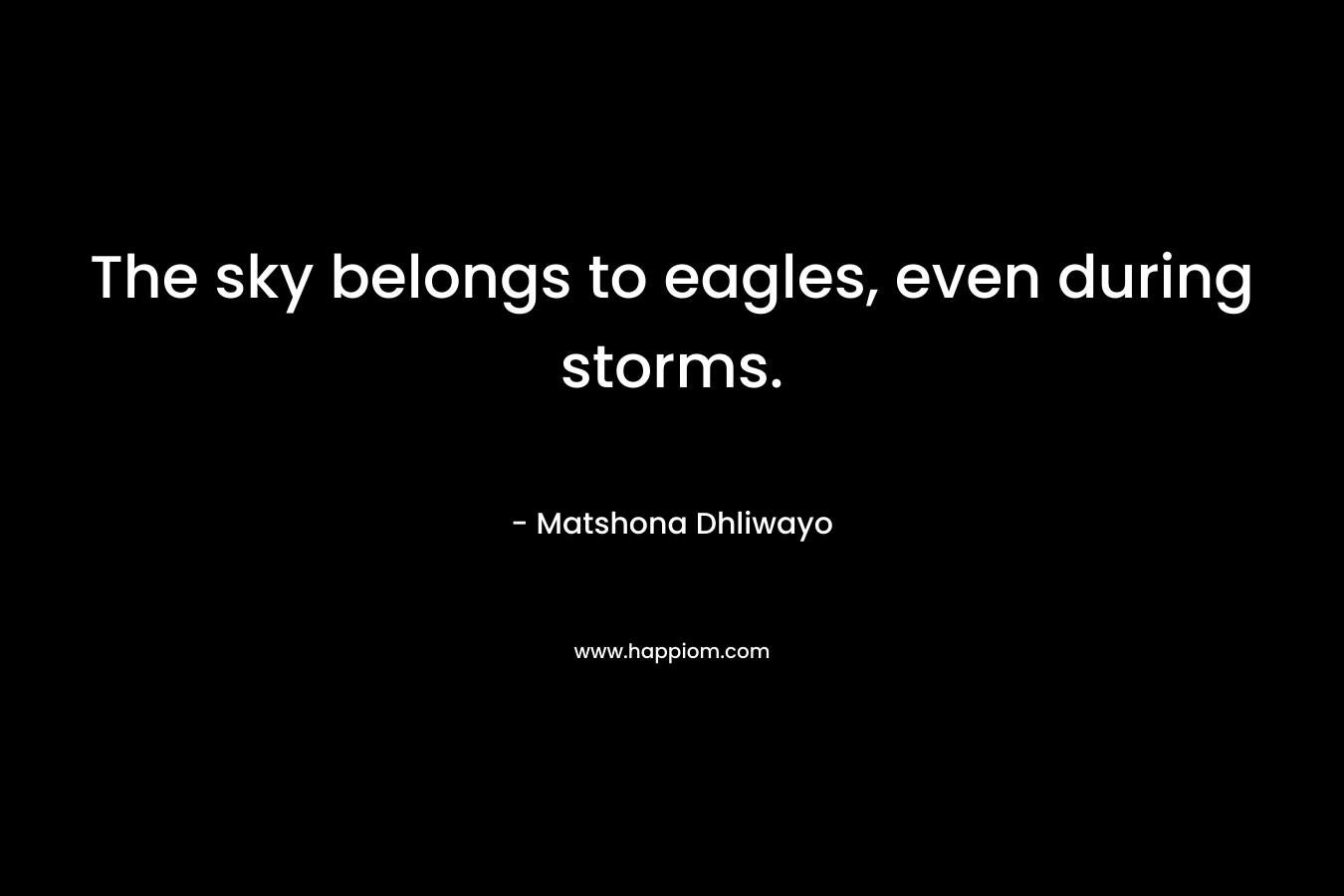 The sky belongs to eagles, even during storms.