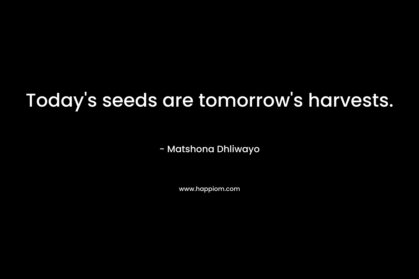 Today’s seeds are tomorrow’s harvests. – Matshona Dhliwayo