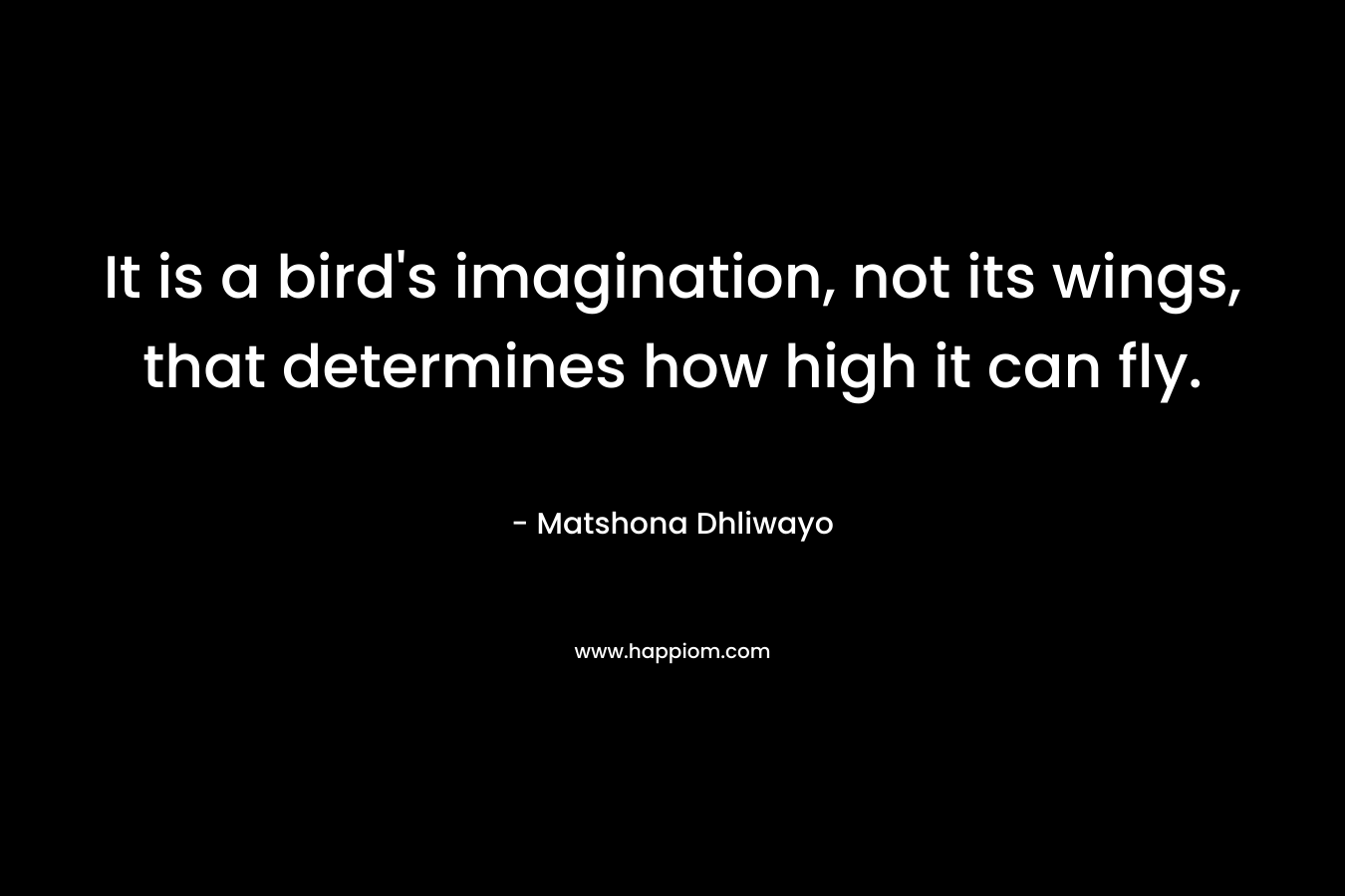 It is a bird's imagination, not its wings, that determines how high it can fly.