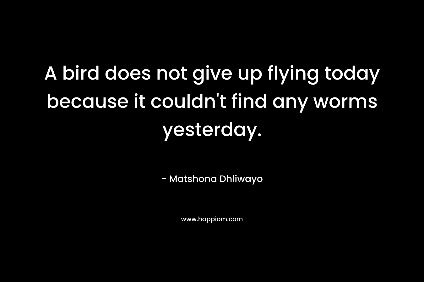 A bird does not give up flying today because it couldn’t find any worms yesterday. – Matshona Dhliwayo