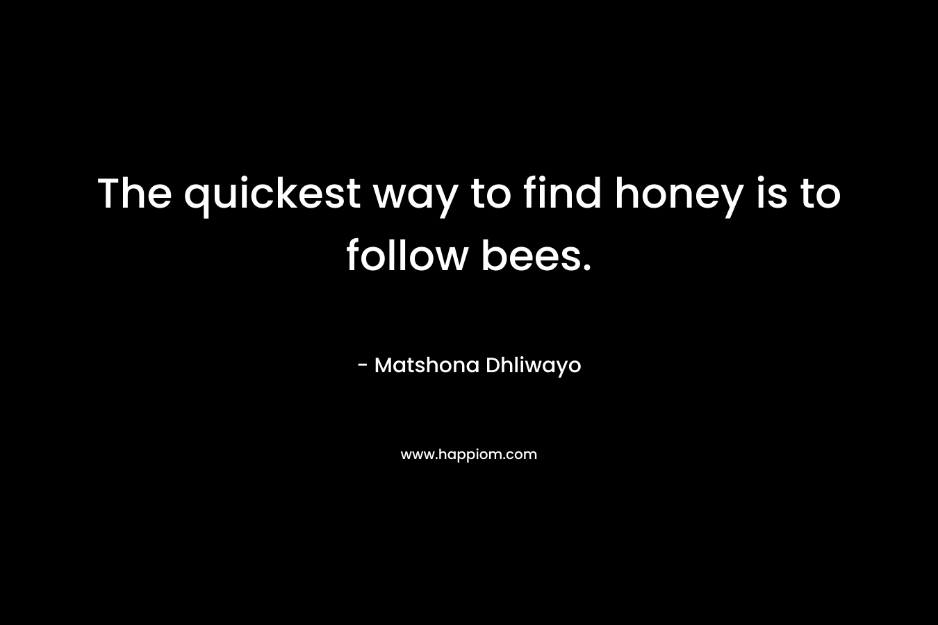The quickest way to find honey is to follow bees.