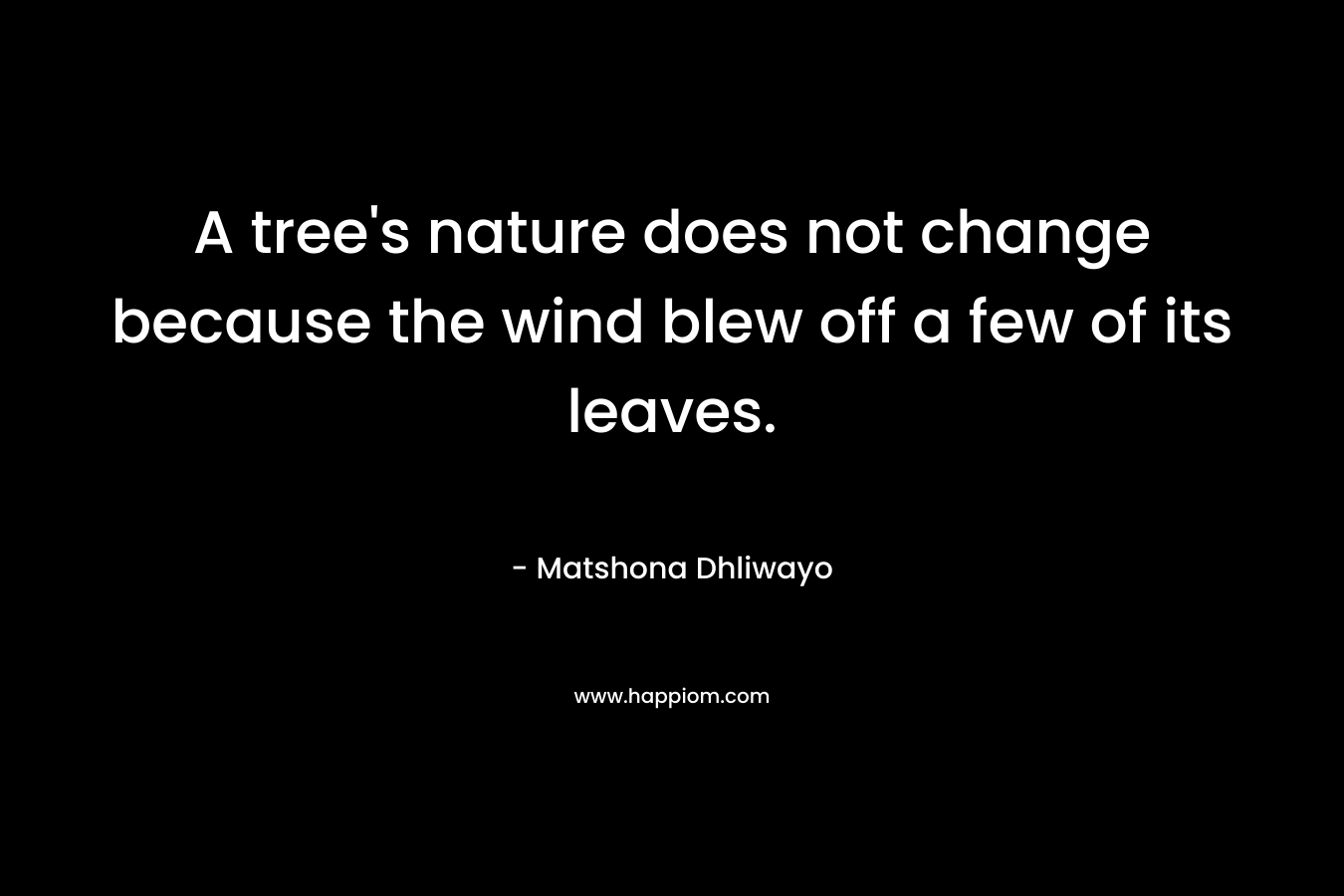 A tree’s nature does not change because the wind blew off a few of its leaves. – Matshona Dhliwayo