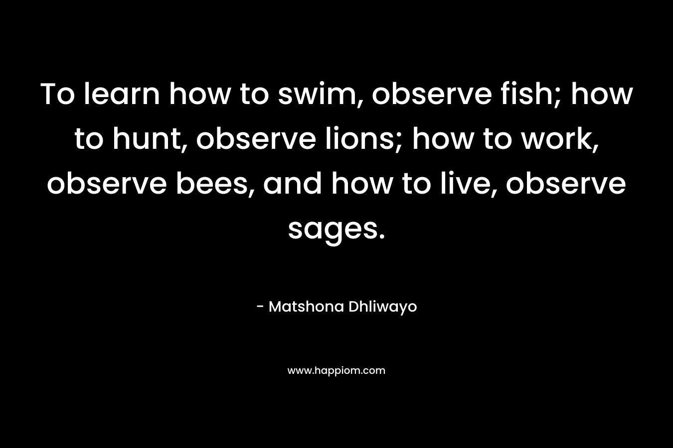 To learn how to swim, observe fish; how to hunt, observe lions; how to work, observe bees, and how to live, observe sages.