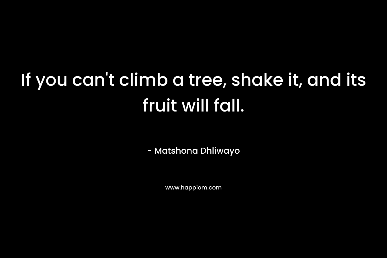 If you can't climb a tree, shake it, and its fruit will fall.