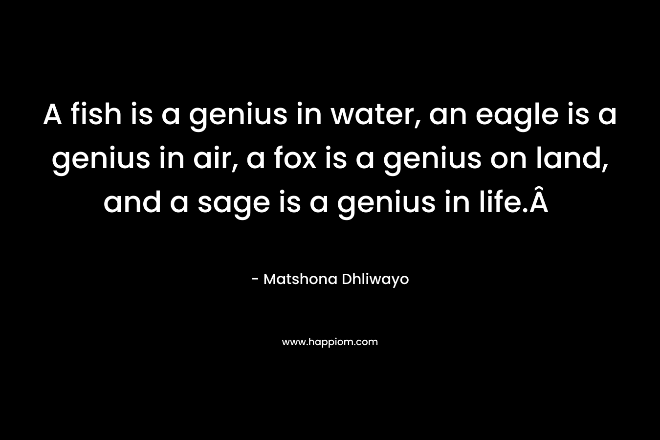 A fish is a genius in water, an eagle is a genius in air, a fox is a genius on land, and a sage is a genius in life.Â  – Matshona Dhliwayo