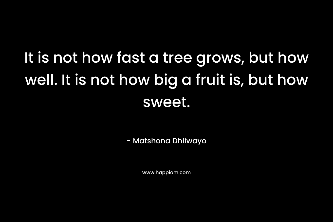 It is not how fast a tree grows, but how well. It is not how big a fruit is, but how sweet.