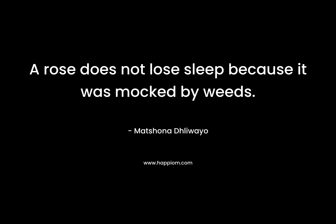 A rose does not lose sleep because it was mocked by weeds. – Matshona Dhliwayo