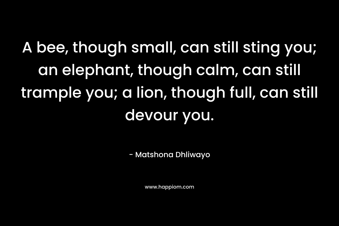A bee, though small, can still sting you; an elephant, though calm, can still trample you; a lion, though full, can still devour you. – Matshona Dhliwayo