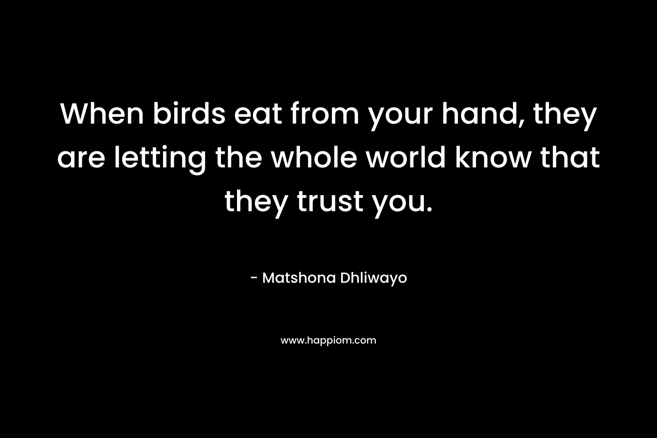 When birds eat from your hand, they are letting the whole world know that they trust you.