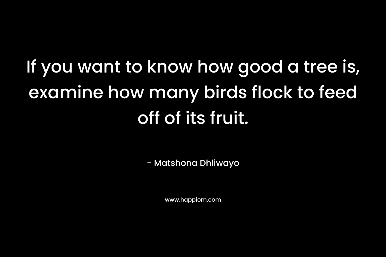 If you want to know how good a tree is, examine how many birds flock to feed off of its fruit. – Matshona Dhliwayo