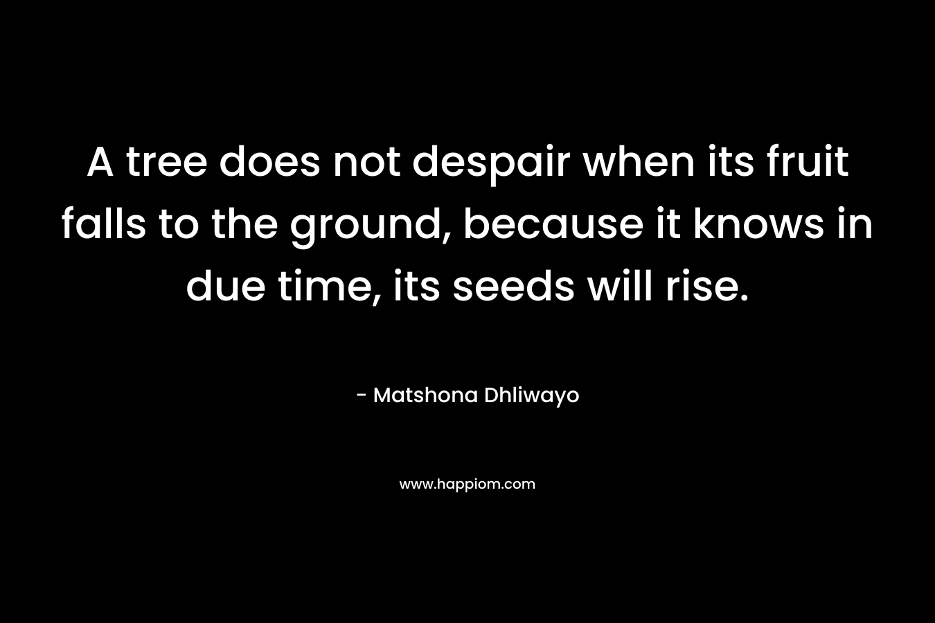 A tree does not despair when its fruit falls to the ground, because it knows in due time, its seeds will rise.