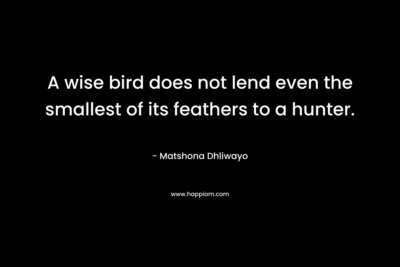 A wise bird does not lend even the smallest of its feathers to a hunter. – Matshona Dhliwayo