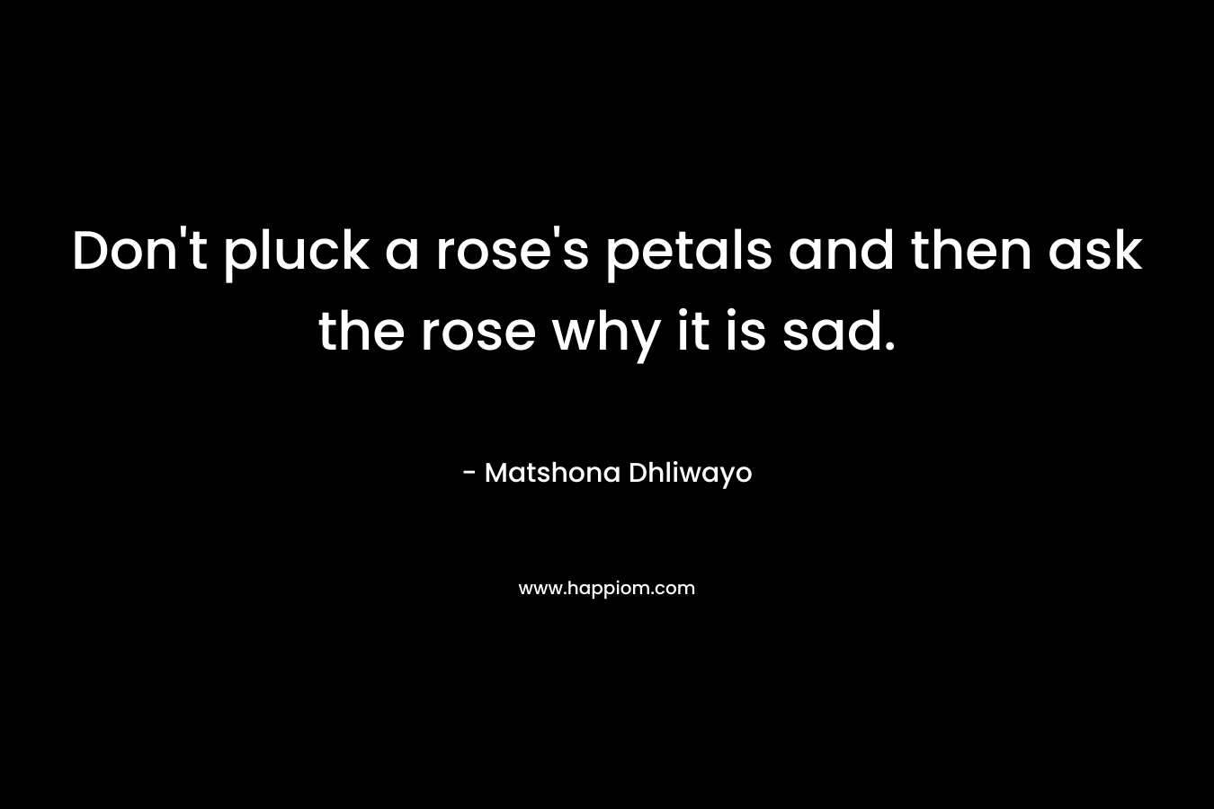 Don’t pluck a rose’s petals and then ask the rose why it is sad. – Matshona Dhliwayo