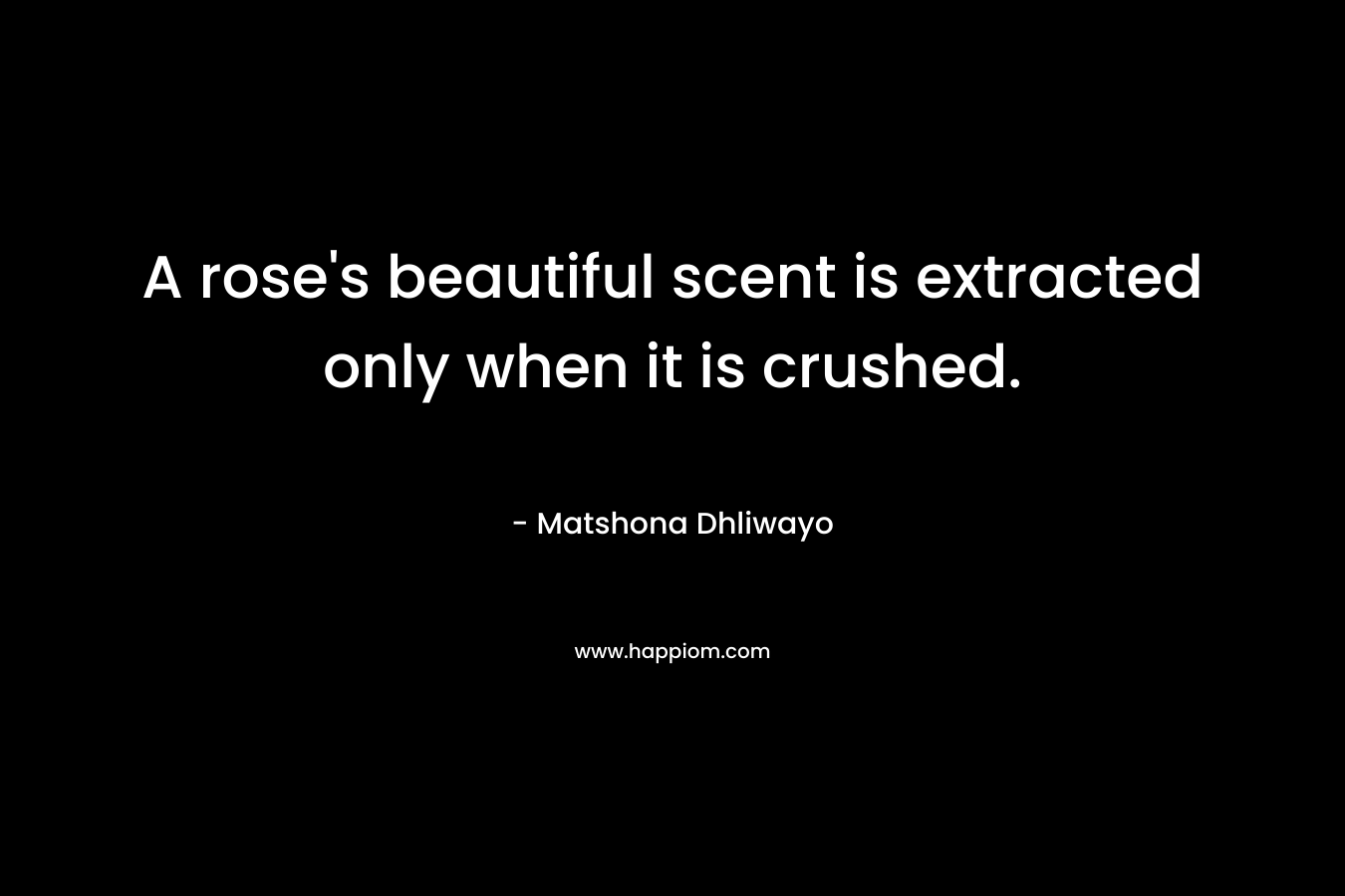 A rose's beautiful scent is extracted only when it is crushed.