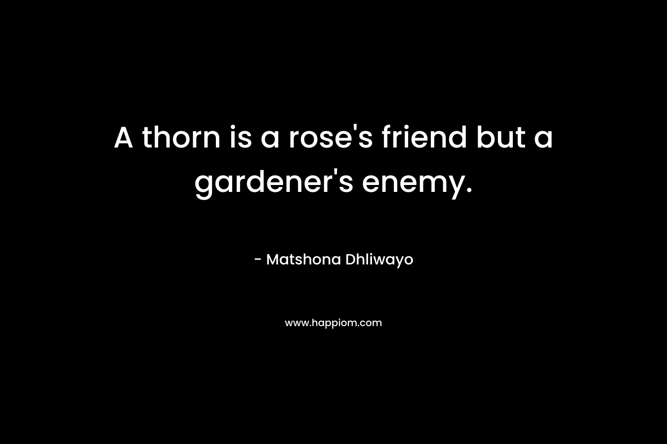 A thorn is a rose's friend but a gardener's enemy.