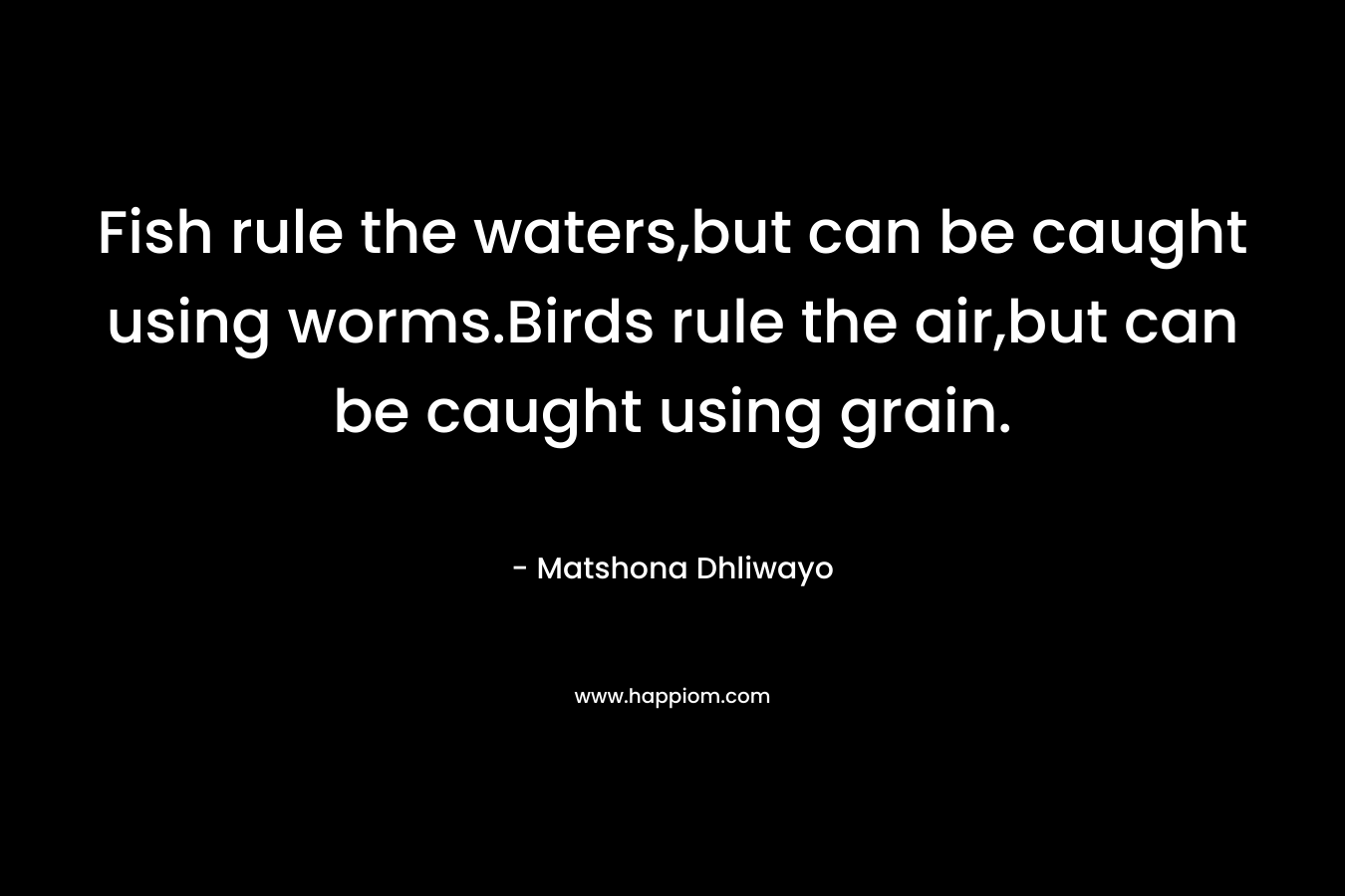 Fish rule the waters,but can be caught using worms.Birds rule the air,but can be caught using grain. – Matshona Dhliwayo