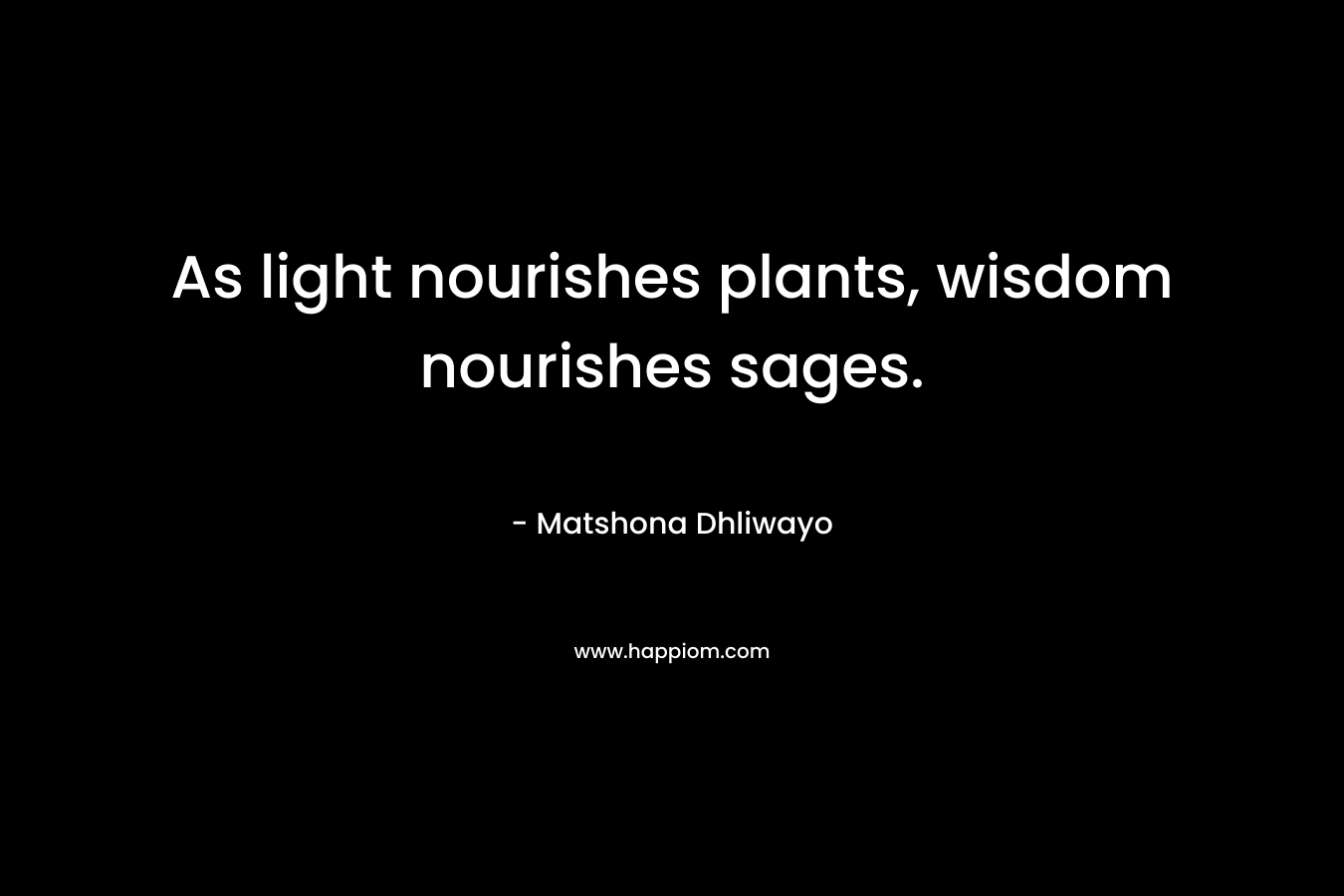 As light nourishes plants, wisdom nourishes sages. – Matshona Dhliwayo
