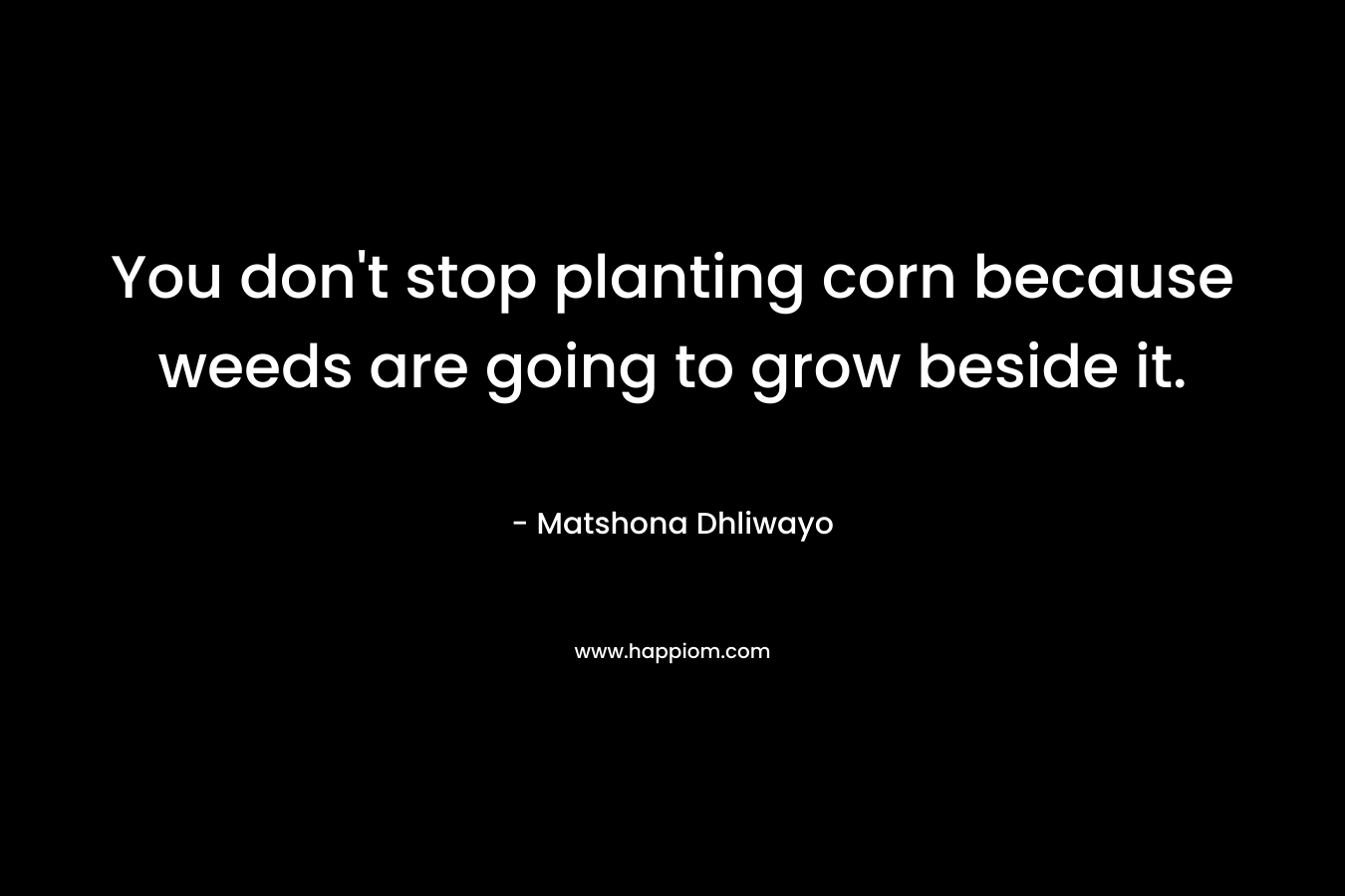 You don’t stop planting corn because weeds are going to grow beside it. – Matshona Dhliwayo