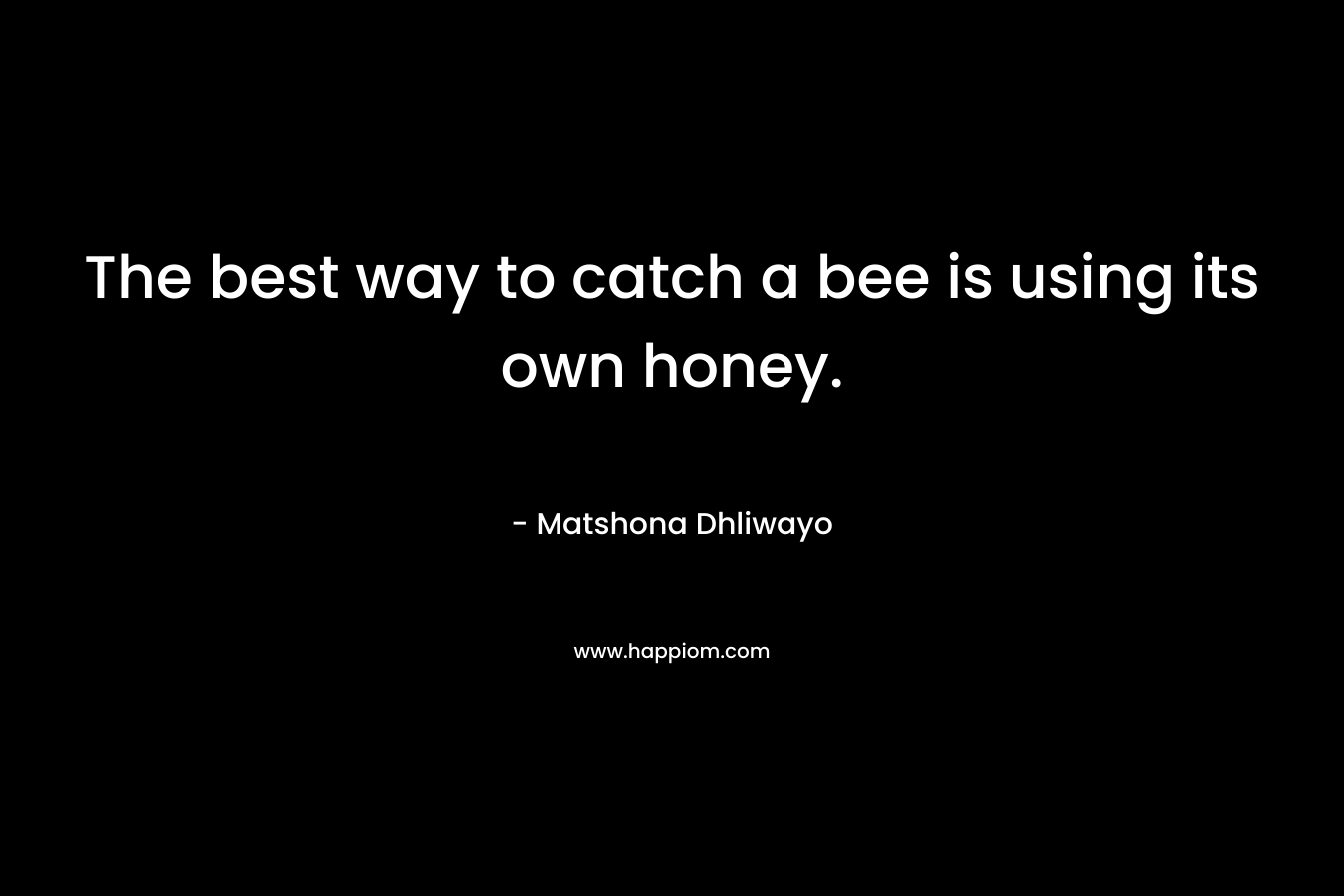 The best way to catch a bee is using its own honey. – Matshona Dhliwayo