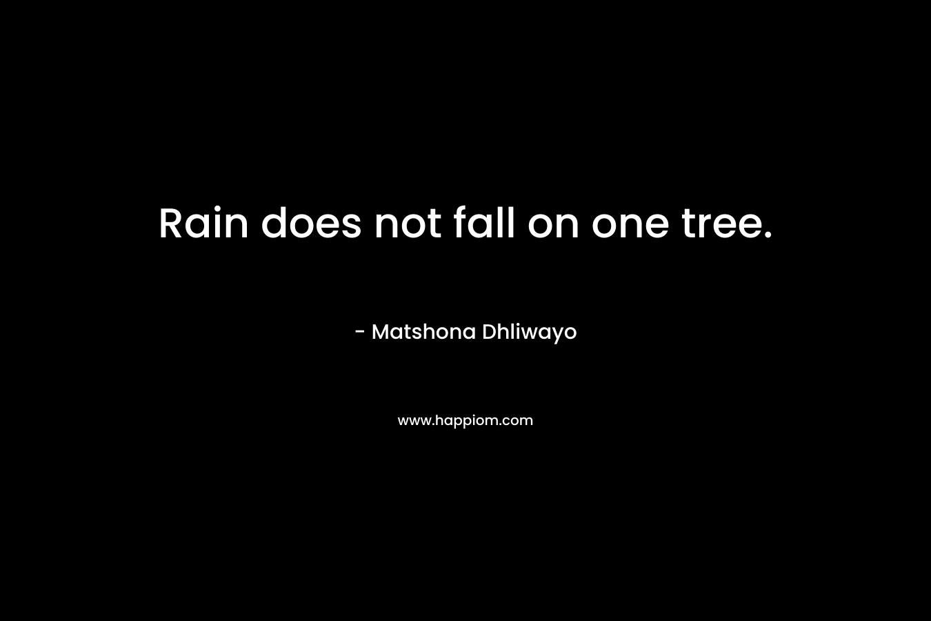 Rain does not fall on one tree. – Matshona Dhliwayo