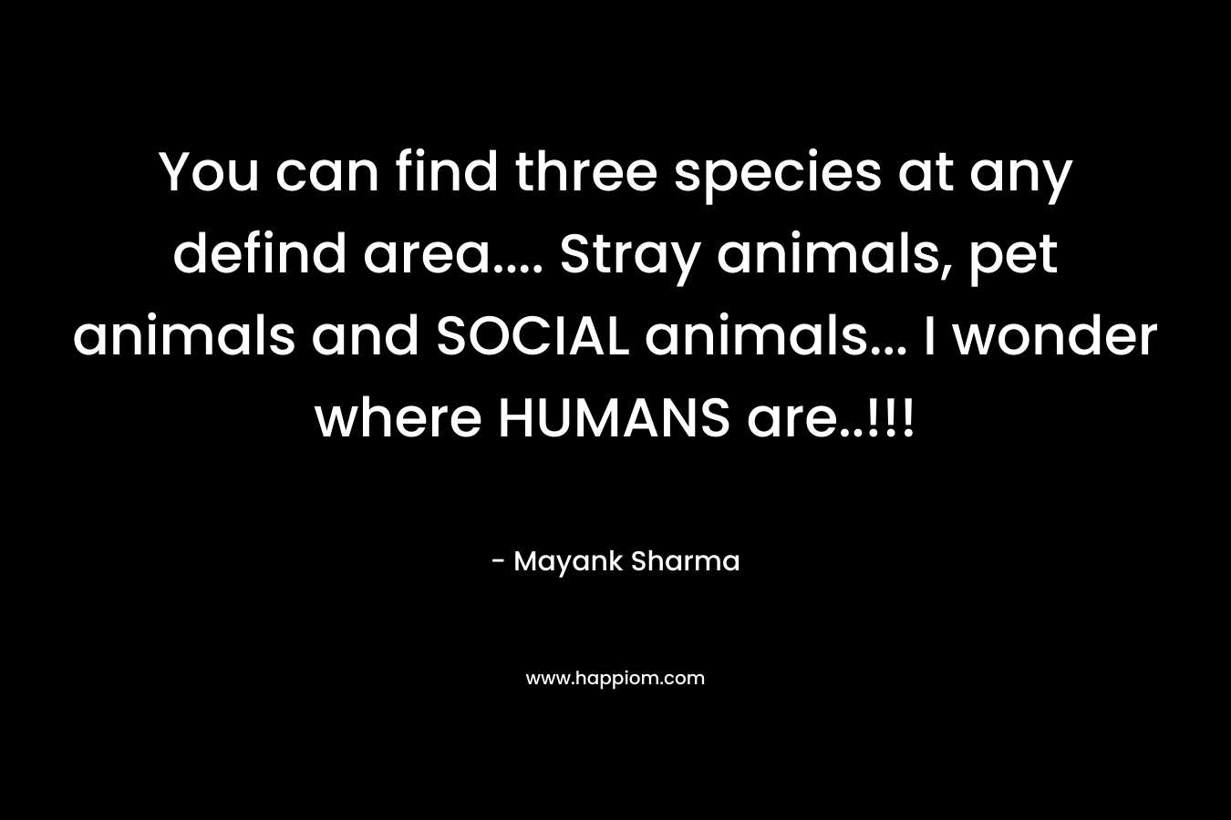 You can find three species at any defind area…. Stray animals, pet animals and SOCIAL animals… I wonder where HUMANS are..!!! – Mayank  Sharma