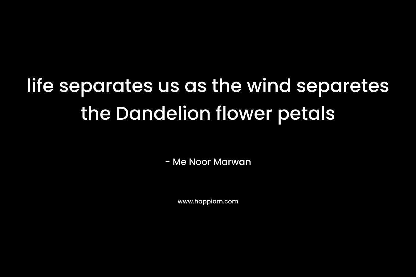 life separates us as the wind separetes the Dandelion flower petals – Me Noor Marwan