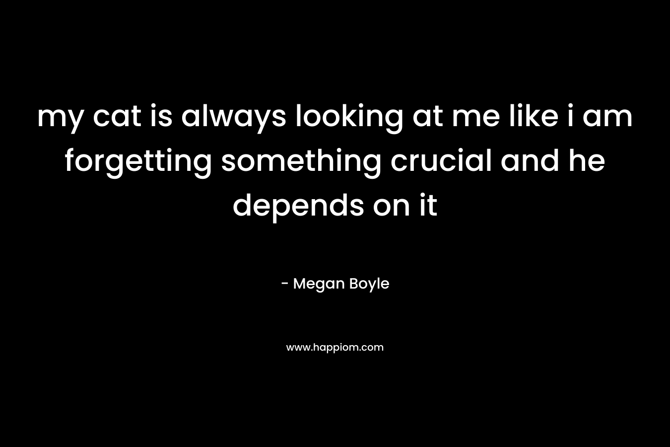 my cat is always looking at me like i am forgetting something crucial and he depends on it – Megan Boyle