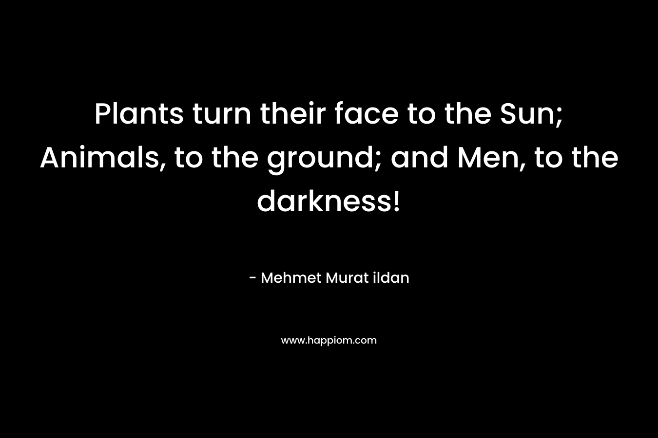 Plants turn their face to the Sun; Animals, to the ground; and Men, to the darkness! – Mehmet Murat ildan