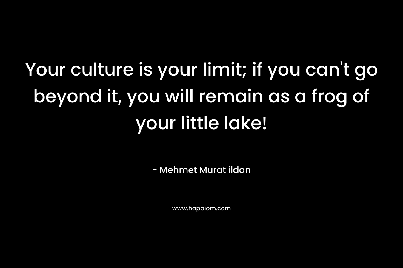 Your culture is your limit; if you can’t go beyond it, you will remain as a frog of your little lake! – Mehmet Murat ildan