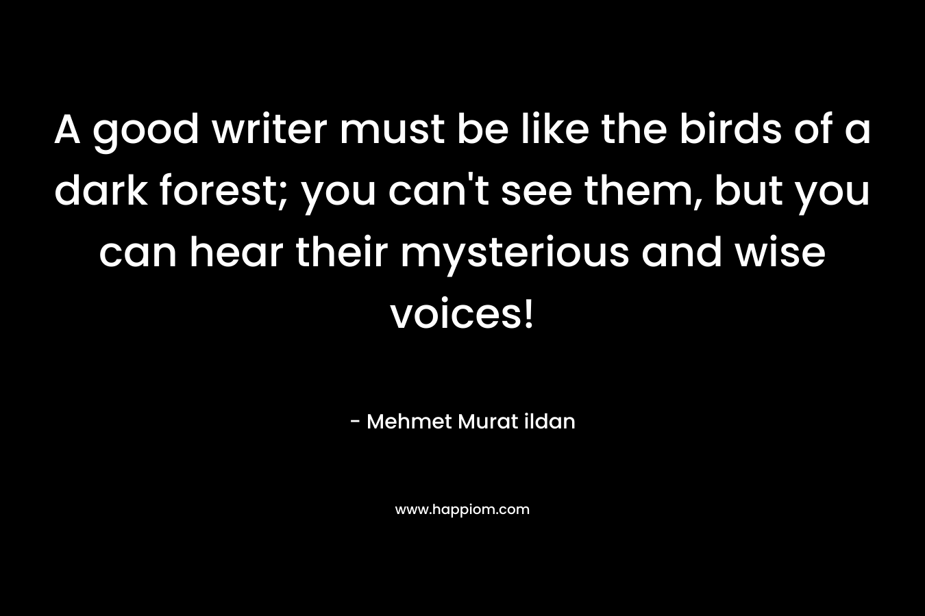 A good writer must be like the birds of a dark forest; you can't see them, but you can hear their mysterious and wise voices!