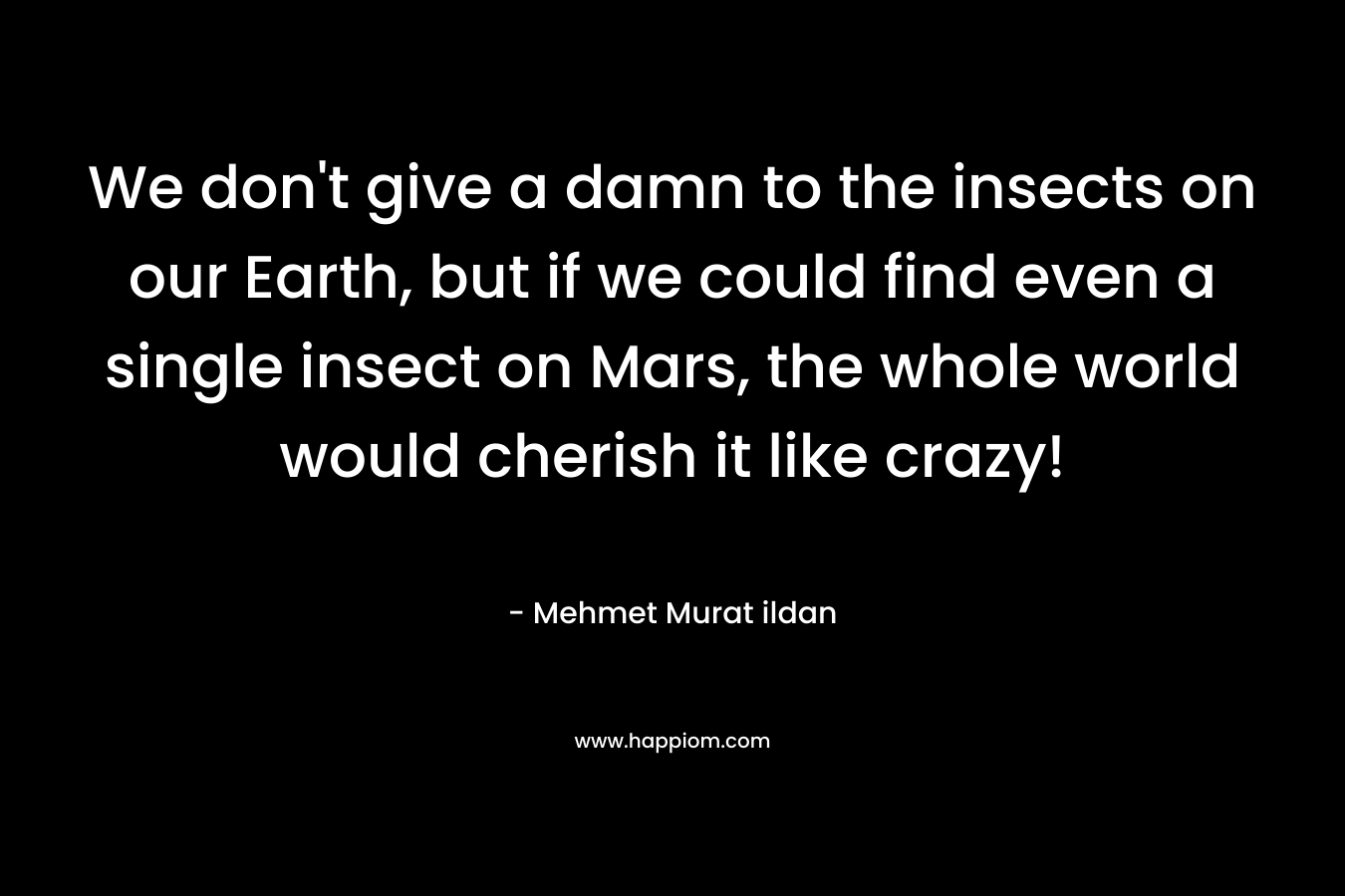 We don’t give a damn to the insects on our Earth, but if we could find even a single insect on Mars, the whole world would cherish it like crazy! – Mehmet Murat ildan